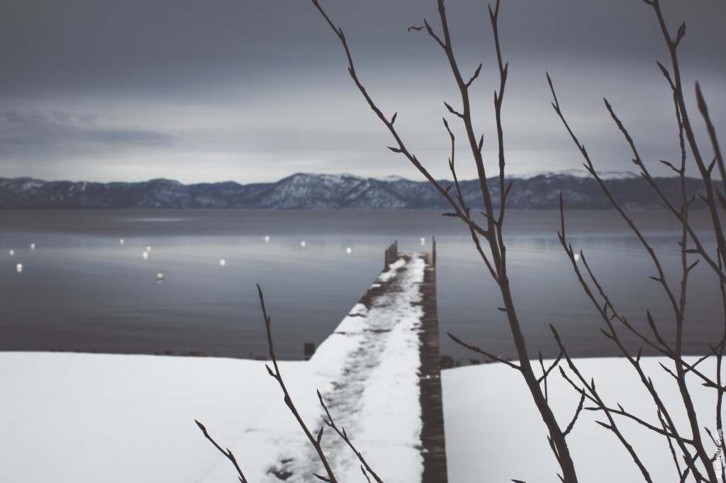 2016-02-21_TahoeLakeBranches